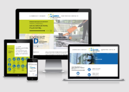 refonte-identité-visuelle-site-web-sainesNettoyage